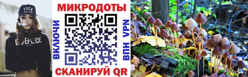 Галлюциногенные грибы Cubensis  Дагестанские Огни 