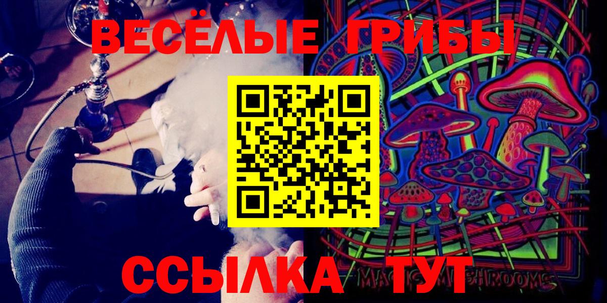 Псилоцибиновые грибы GOLDEN TEACHER  Галлюциногенные грибы ЛСД  Дагестанские Огни  купить  сайты  Вход с VPN 