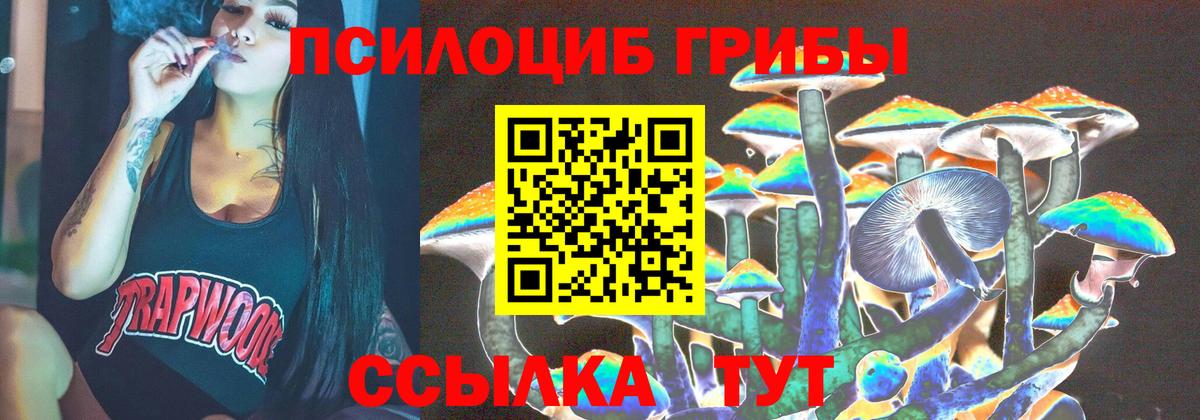 Галлюциногенные грибы мицелий  Дагестанские Огни  купить закладку  Псилоцибиновые грибы Magic Shrooms 