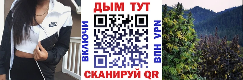 где купить наркотик ОМГ ОМГ ССЫЛКА МАРИХУАНА Bruce Banner Дагестанские Огни